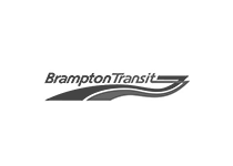 brampton transit