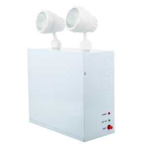 EL-7063S6 EMERGENCY BATTERY BACKUP UNIT (150W, REMOTE CAPABLE)